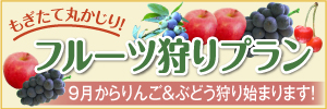 ホームページ限定！　季節のフルーツ狩りプラン